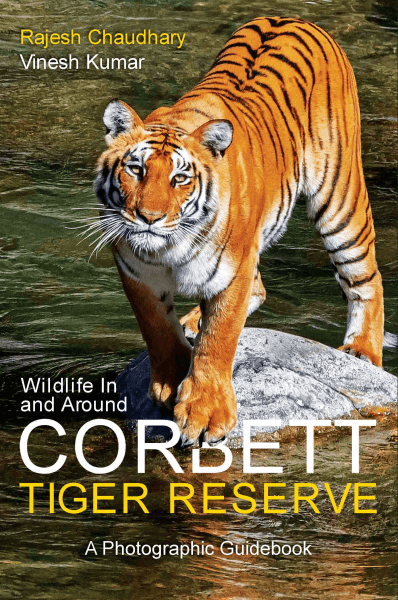 2023323232253238 1 Wildlife In and Around Corbett Tiger Reserve : A Comprehensive Guidebook on Corbett Tiger Reserve Book