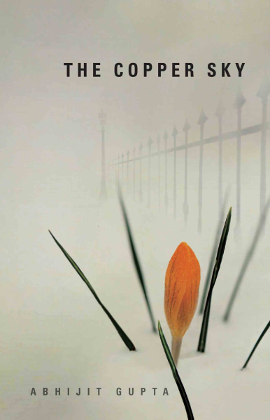 978 93 83098 63 7 2022111722393 The Copper Sky Book