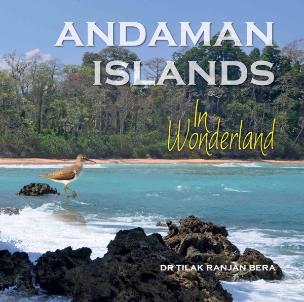 978 93 83098 65 1 2022111721274 Andaman Islands : In Wonderland Book