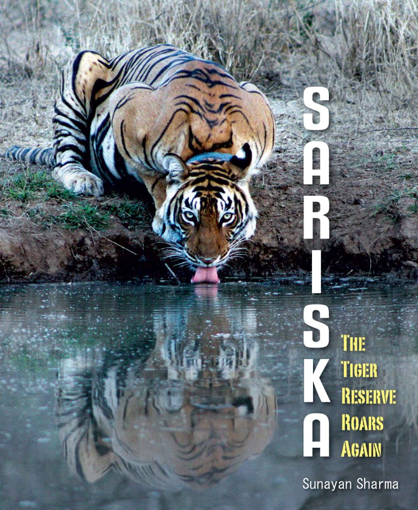 Sariska The Tiger Reserve Roars Again WEB 1 Sariska : The Tiger Reserve Roars Again Book