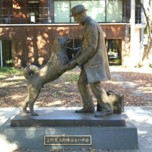 From Wizarding Owls to Secret Agents: Our Favourite Fictional Pets