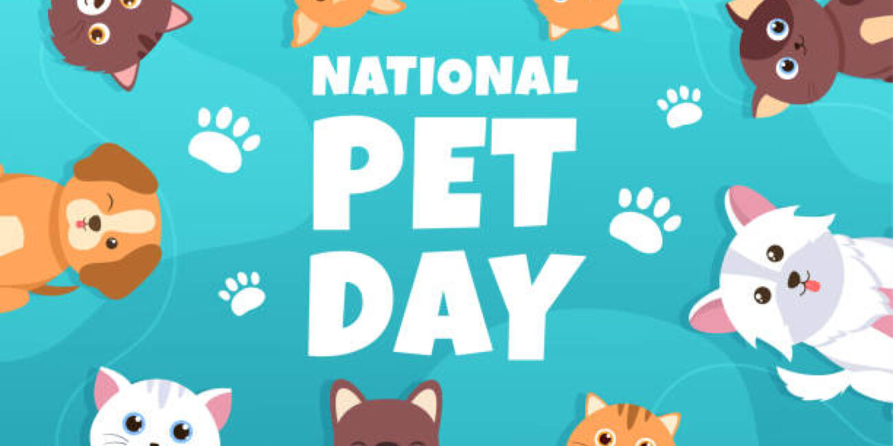 From Wizarding Owls to Secret Agents: Our Favourite Fictional Pets